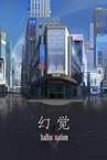 hallucination - 幻觉