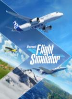 Microsoft Flight Simulator