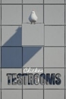 Chicken TESTROOMS