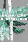Grief like a stray dog