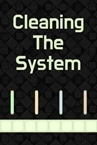 Cleaning The System