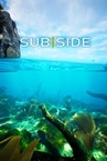 Subside