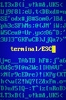 Terminal ESC