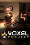 Voxel Project VR