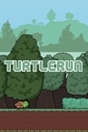 TurtleRun