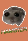 Hamster