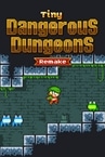 Tiny Dangerous Dungeons Remake