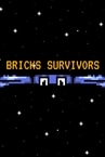Bricks Survivors Playtest