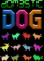Domestic Dog