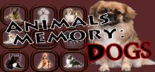Animals Memory: Dogs