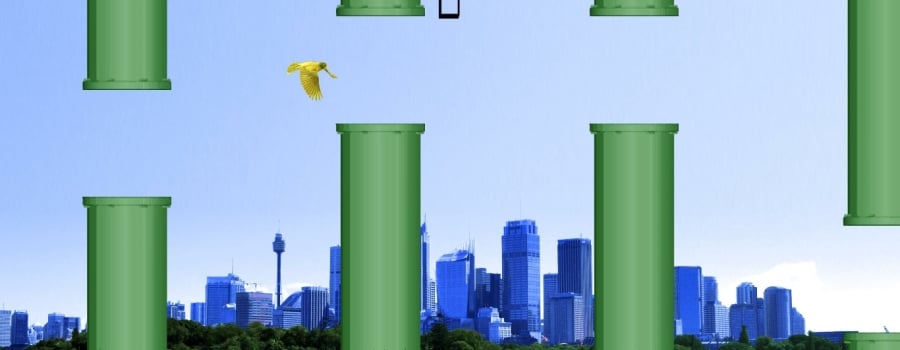A Flappy Bird in Real Life