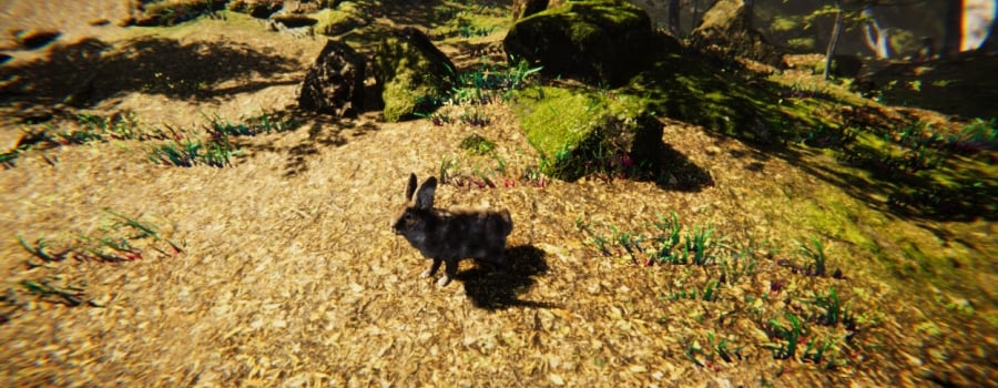 Games developed by Imperian Online