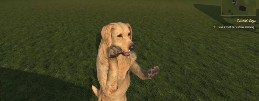 Animal Trainer Simulator: Prologue