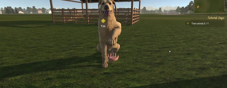 Animal Trainer Simulator