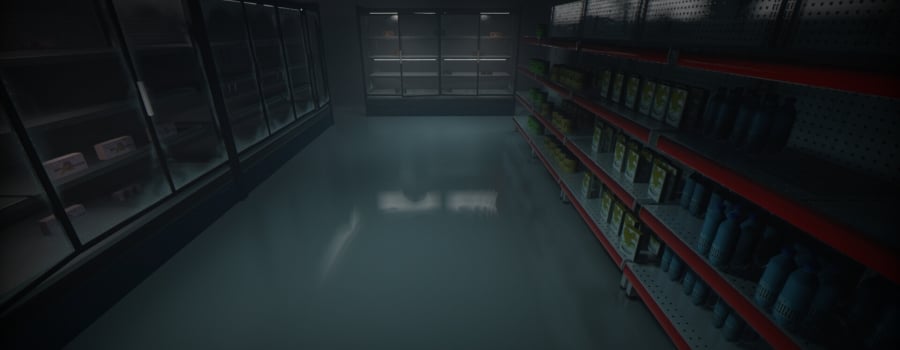 Anomaly Observer