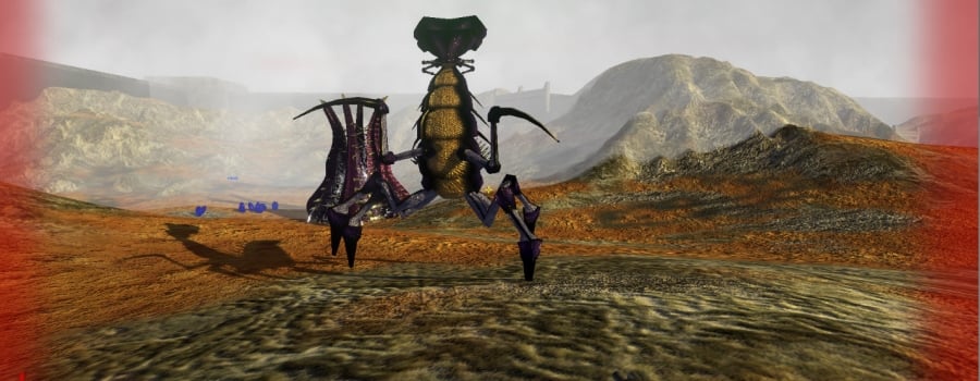 BEETLES