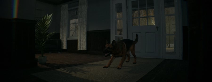 Games developed by Tripleducks studio