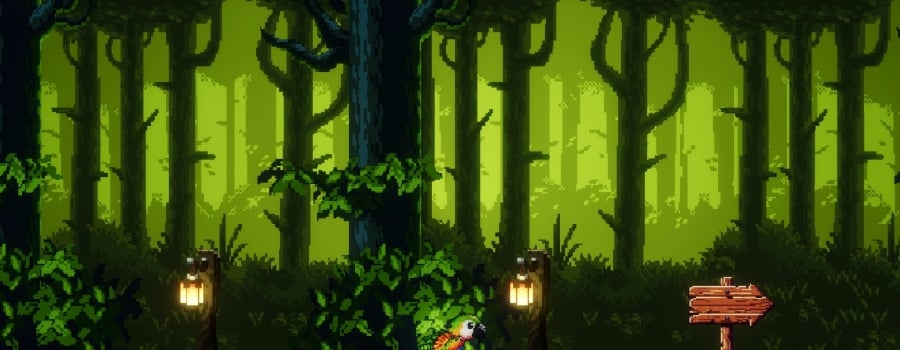 Birds Adventure