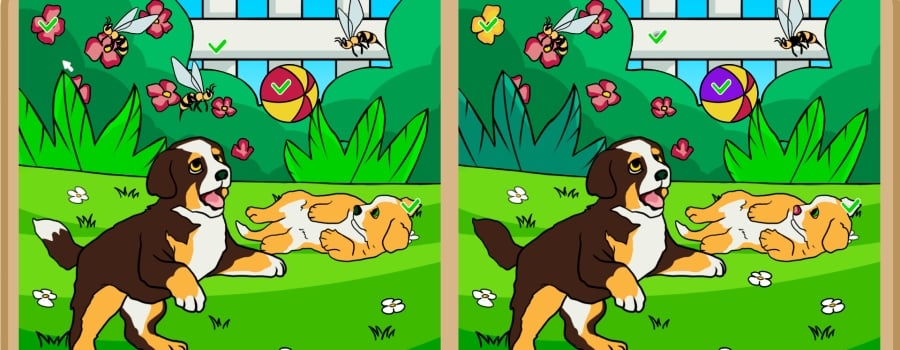 Dogs Contrast