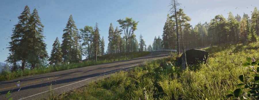 Easy Breezy Drive