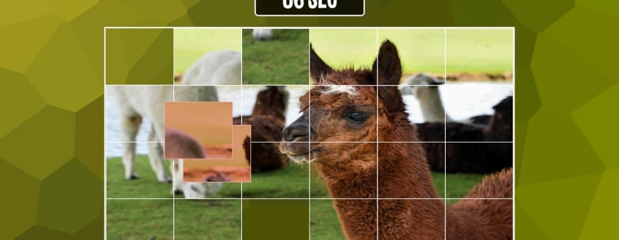 Easy puzzle: Animals