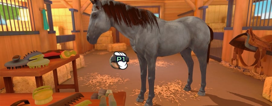 Equestrian Training