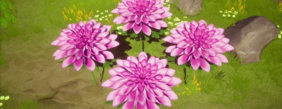 Flower Memories