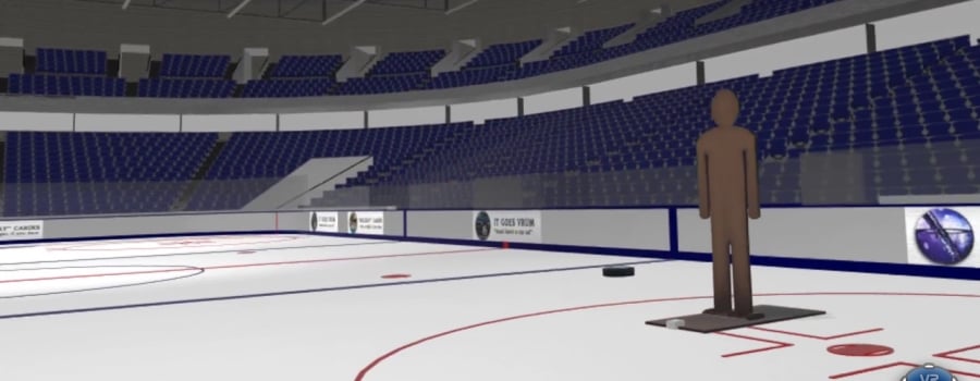 Goaltender VR