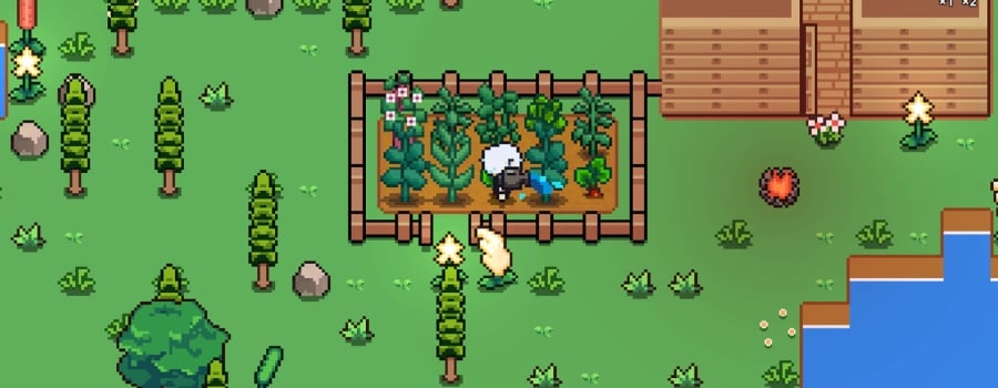 HG Adventure