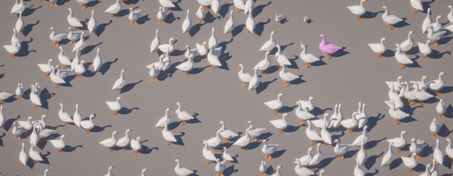 Honker