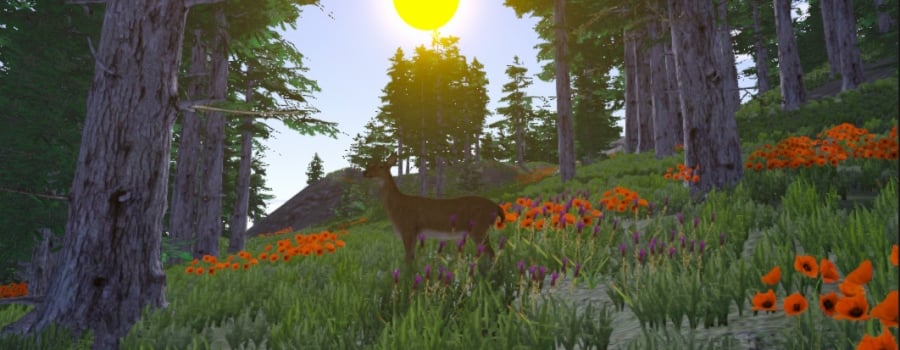 Games developed by Chris Cooper