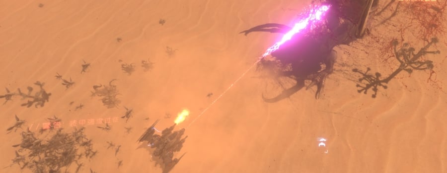 Insect Swarm