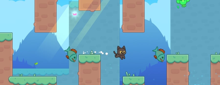 Kitty Loves Birds