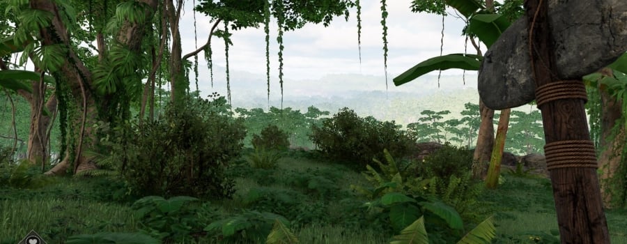 Mesorift Survival