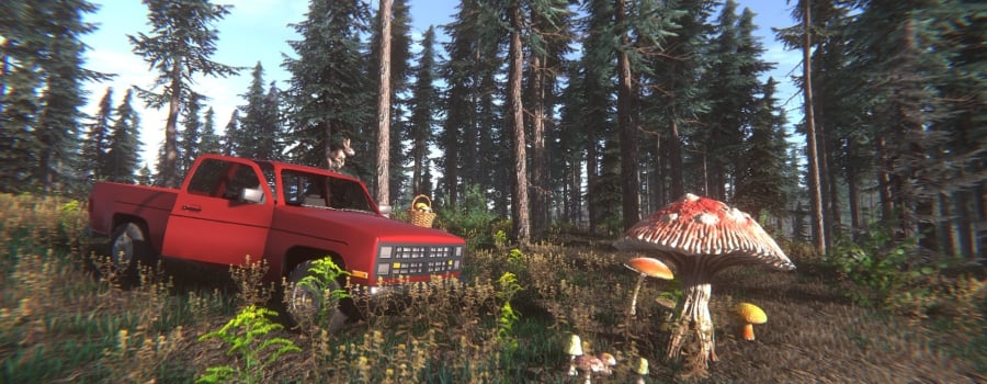 Mushroom Challenge