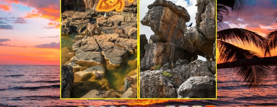 Nature Escapes 5