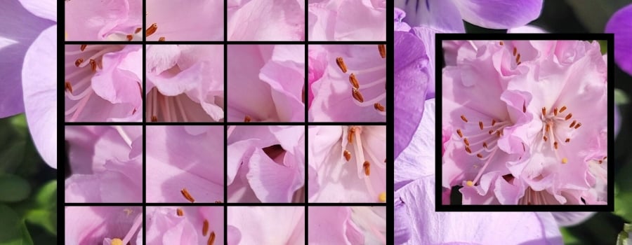 OG Puzzlers: Spring 2K24