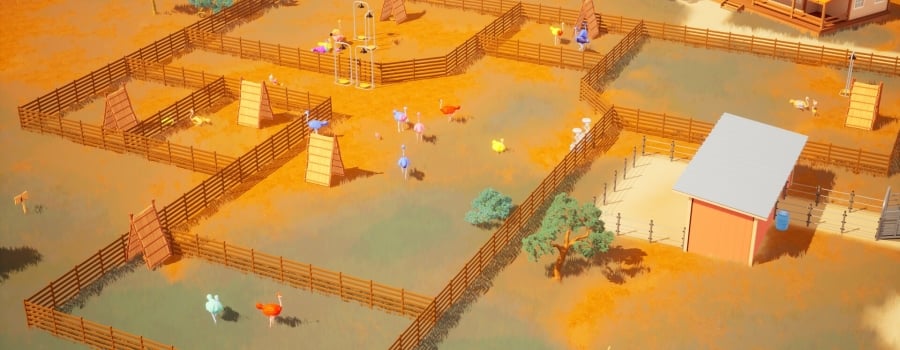 Ostrich Farm