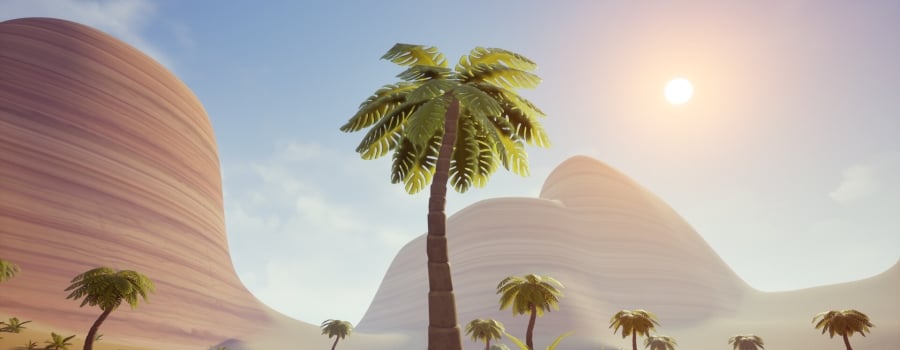 Palm Simulator