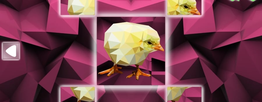 Poly Puzzle: Birds