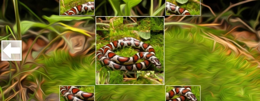 Puzzle Art: Snakes