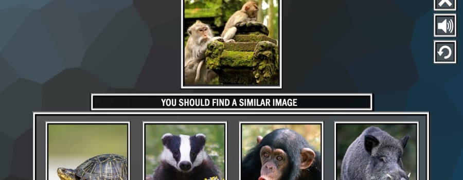 Repeat the image: Animals
