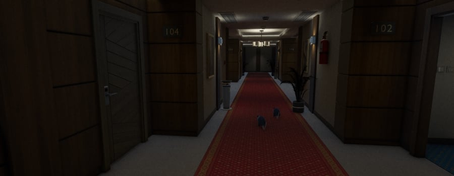 Room 808