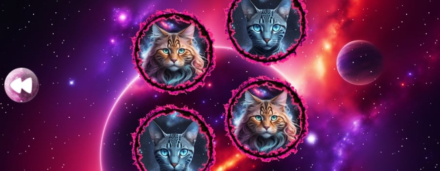 Space Memory: Cats