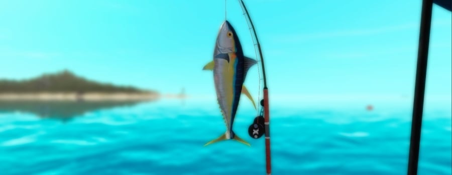 The Fishing Club 3D