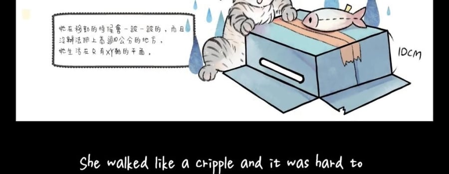 Games developed by Ten Ten-Ten cats' House