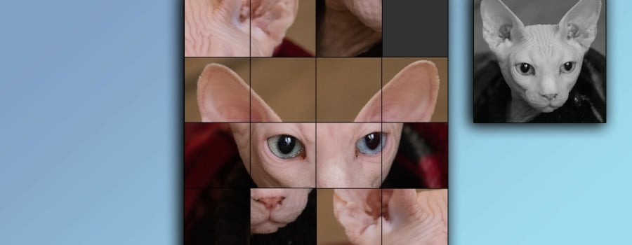 TitTok Kitty