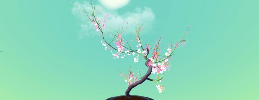 Tree Bonsai