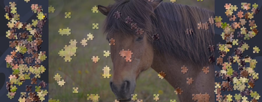 Virtual Jigsaw Puzzles - Animals