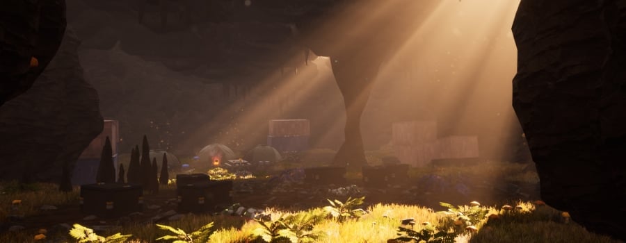 Within the Cosmos